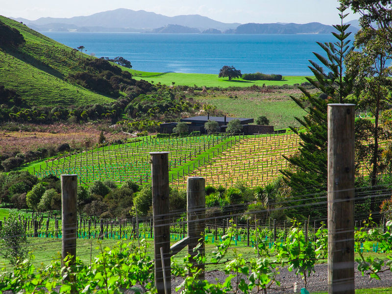 Celebrating New Zealand Wine's Bicentenary